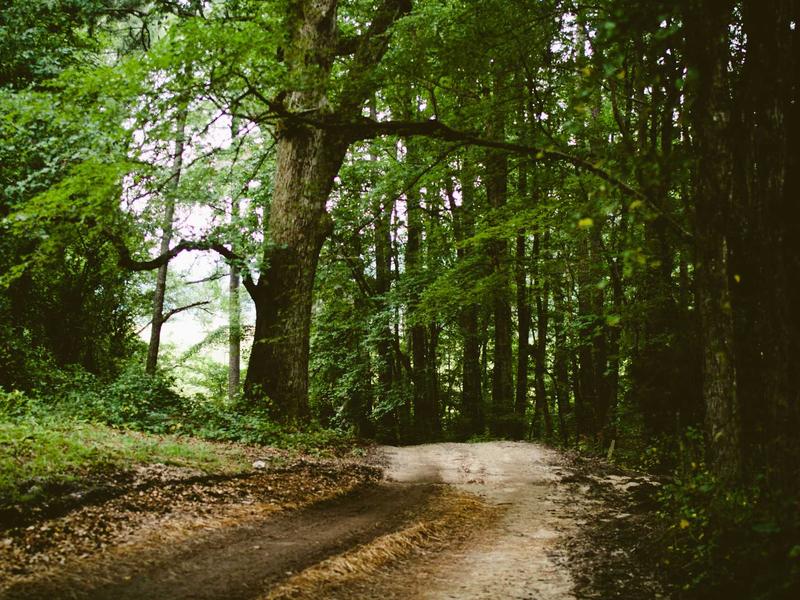 sudoku create puzzle screenshot 1